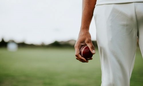 Ball of the Cricket