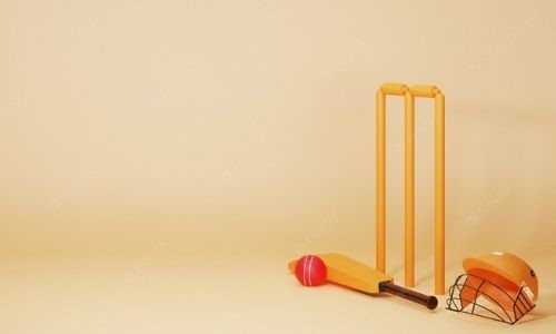 What is the Most Important Cricket Equipment to Buy?