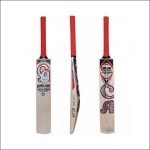 Avoid The Top 4 Cricket Bat Mistakes While Buying