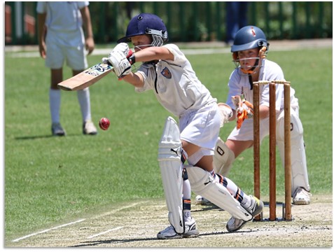 What Equipment Do You Need for Your Favorite Sport Cricket