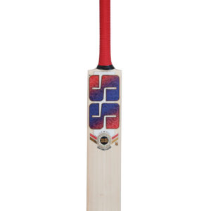 SS Champion English Willow Cricket bat