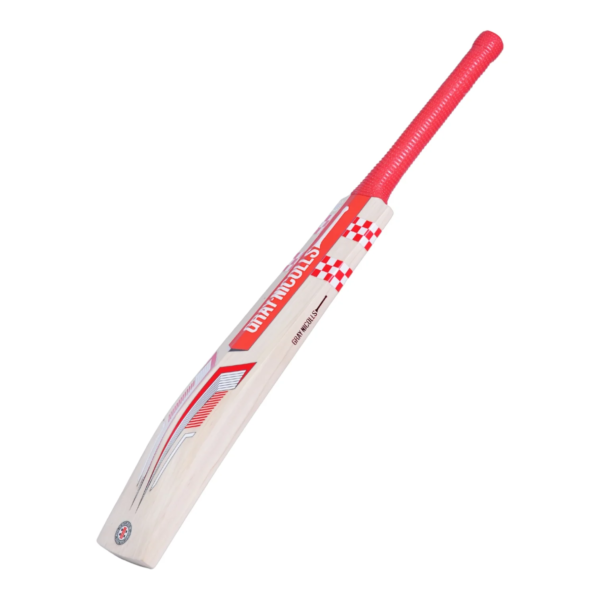 Grey Nicolls 4 Delta English Willow Cricket Bat