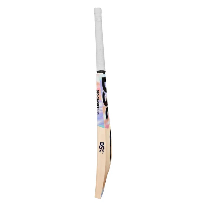 DSC Candor Gloider English Willow Cricket Bat